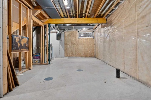 41 Lavender Passage Se, Calgary, AB - Indoor Photo Showing Basement
