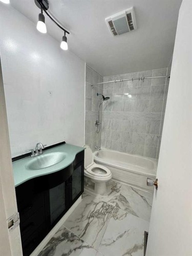 212 78 Avenue Ne, Calgary, AB - Indoor Photo Showing Bathroom
