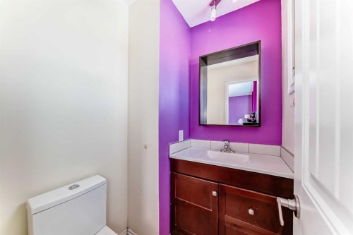 212 78 Avenue Ne, Calgary, AB - Indoor Photo Showing Bathroom