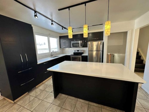 212 78 Avenue Ne, Calgary, AB - Indoor Photo Showing Kitchen With Upgraded Kitchen