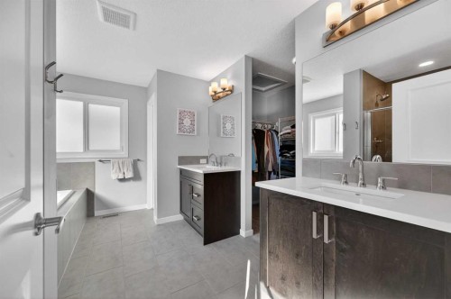 242 Mahogany Passage Se, Calgary, AB - Indoor Photo Showing Bathroom