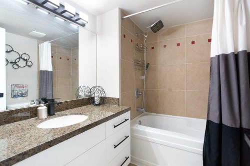 102-350 4 Avenue Ne, Calgary, AB - Indoor Photo Showing Bathroom