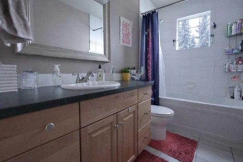 102 Dalgleish Bay Nw, Calgary, AB - Indoor Photo Showing Bathroom