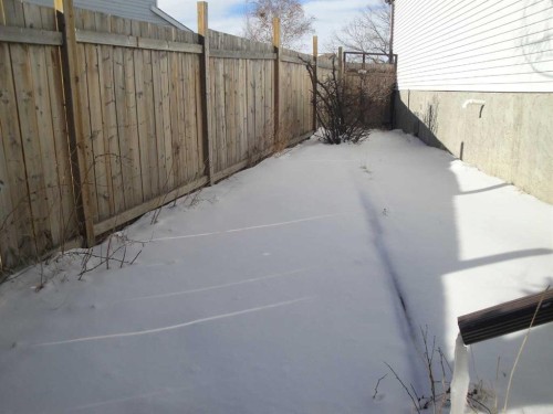 88 Abingdon Court Ne, Calgary, AB - Outdoor With Exterior