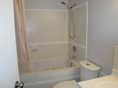 88 Abingdon Court Ne, Calgary, AB - Indoor Photo Showing Bathroom