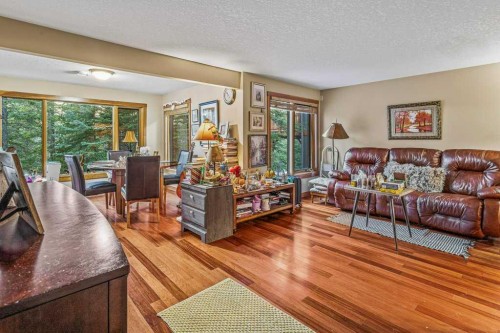 215 Miskow Close, Canmore, AB - Indoor Photo Showing Living Room
