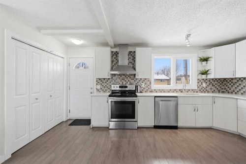 6011 Temple Drive Ne, Calgary, AB - Indoor Photo Showing Kitchen With Stainless Steel Kitchen
