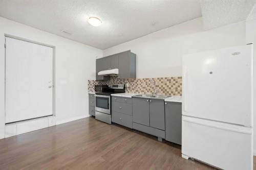 6011 Temple Drive Ne, Calgary, AB - Indoor Photo Showing Kitchen With Double Sink
