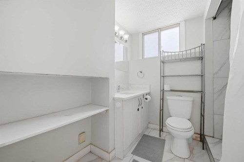 6011 Temple Drive Ne, Calgary, AB - Indoor Photo Showing Bathroom