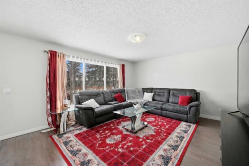 6011 Temple Drive Ne, Calgary, AB - Indoor Photo Showing Living Room