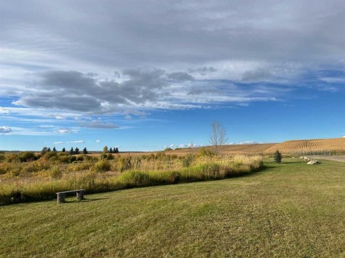 #50, 110 Highway 22, Cremona, AB 