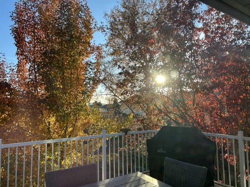 231 Scimitar Bay Nw, Calgary, AB - Outdoor