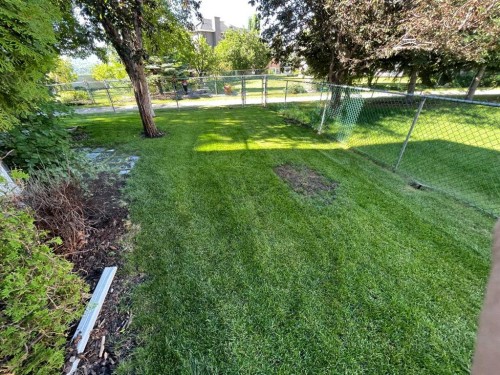 231 Scimitar Bay Nw, Calgary, AB - Outdoor