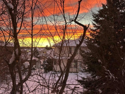 231 Scimitar Bay Nw, Calgary, AB - 