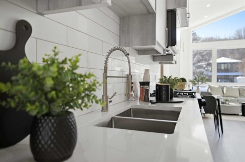 8520 33 Avenue Nw, Calgary, AB - Indoor Photo Showing Kitchen With Double Sink