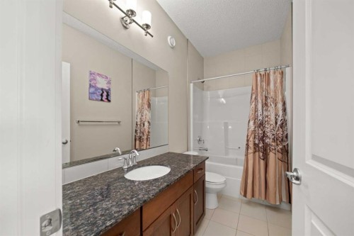 49 Evansview Manor Nw, Calgary, AB - Indoor Photo Showing Bathroom
