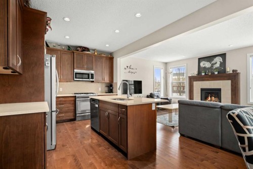 49 Evansview Manor Nw, Calgary, AB - Indoor Photo Showing Kitchen With Fireplace
