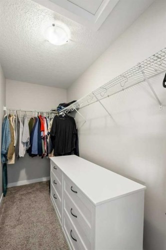 183 Kinniburgh Road, Chestermere, AB - Indoor With Storage