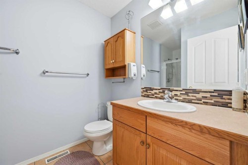 311 Saddlecreek Point Ne, Calgary, AB - Indoor Photo Showing Bathroom