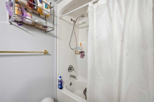 311 Saddlecreek Point Ne, Calgary, AB - Indoor Photo Showing Bathroom