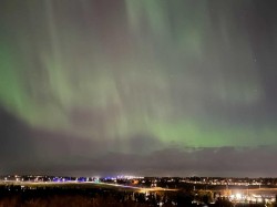 811-8604 48 Avenue NW Calgary, AB T3B 5E6