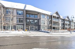 303-45 Aspenmont Heights SW Calgary, AB T3H 0E6