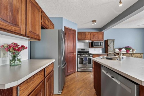 52 Riverwood Circle Se, Calgary, AB - Indoor Photo Showing Kitchen With Stainless Steel Kitchen With Double Sink