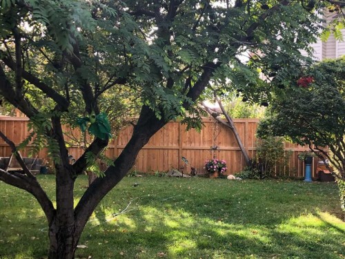 52 Riverwood Circle Se, Calgary, AB - Outdoor