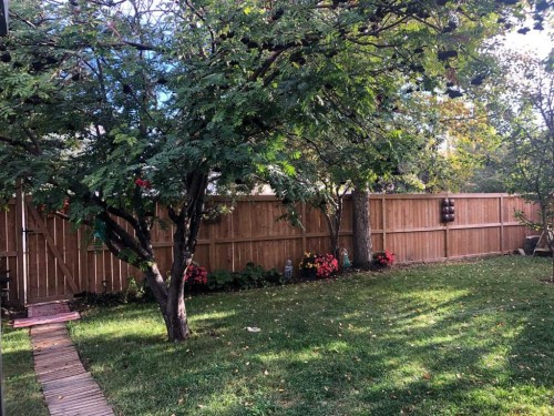 52 Riverwood Circle Se, Calgary, AB - Outdoor