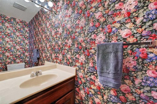 52 Riverwood Circle Se, Calgary, AB - Indoor Photo Showing Bathroom