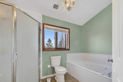 84 Rivergreen Crescent Se, Calgary, AB - Indoor Photo Showing Bathroom