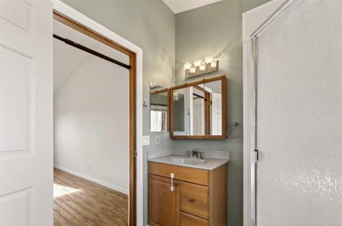 84 Rivergreen Crescent Se, Calgary, AB - Indoor Photo Showing Bathroom