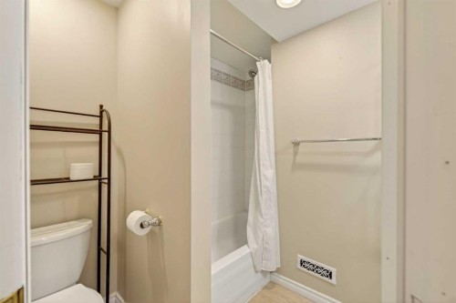 84 Rivergreen Crescent Se, Calgary, AB - Indoor Photo Showing Bathroom