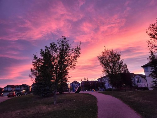 3 Pantego Avenue Nw, Calgary, AB - Outdoor With View