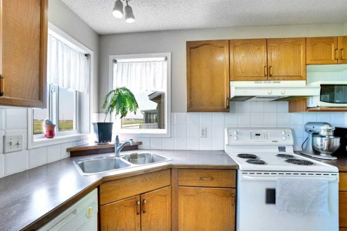 69 Coral Springs Park Ne, Calgary, AB - Indoor Photo Showing Kitchen With Double Sink