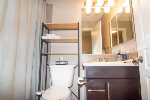 286 Promenade Way Se, Calgary, AB - Indoor Photo Showing Bathroom