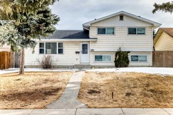 532 Rundleridge Drive NE Calgary, AB T1Y 6K7
