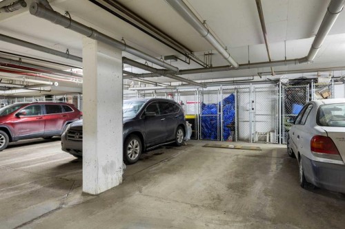 5105-755 Copperpond Boulevard Se, Calgary, AB - Indoor Photo Showing Garage