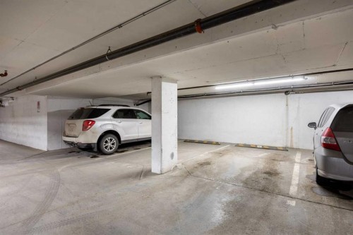 5105-755 Copperpond Boulevard Se, Calgary, AB - Indoor Photo Showing Garage