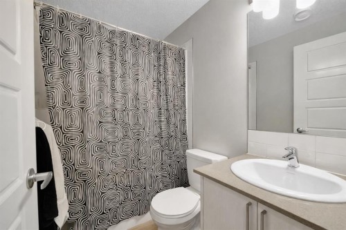 317 Cranbrook Square Se, Calgary, AB - Indoor Photo Showing Bathroom