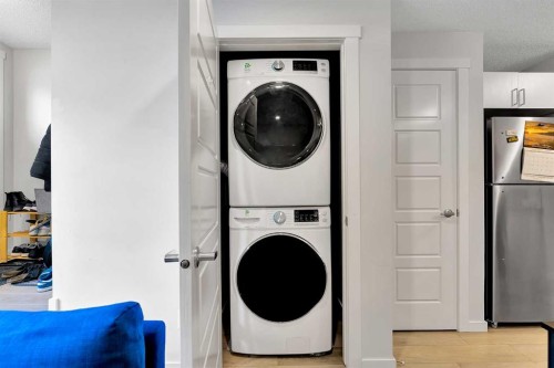 317 Cranbrook Square Se, Calgary, AB - Indoor Photo Showing Laundry Room