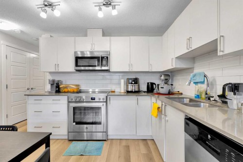 317 Cranbrook Square Se, Calgary, AB - Indoor Photo Showing Kitchen With Double Sink With Upgraded Kitchen