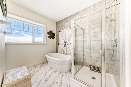 44 Riviera Way, Cochrane, AB - Indoor Photo Showing Bathroom