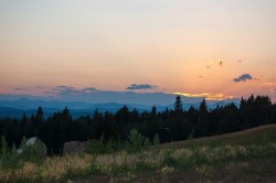 256142 Whiskey Springs Hill WEST Rural Foothills County, AB T0L 1W4