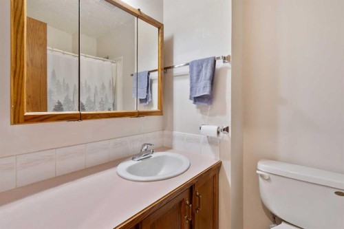 4102 Silverpark Estates Close, Olds, AB - Indoor Photo Showing Bathroom
