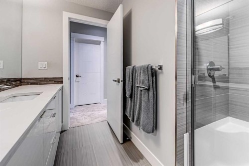 100 Burma Star Road Sw, Calgary, AB - Indoor Photo Showing Bathroom