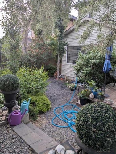 77 Elgin Meadows Manor Se, Calgary, AB - Outdoor