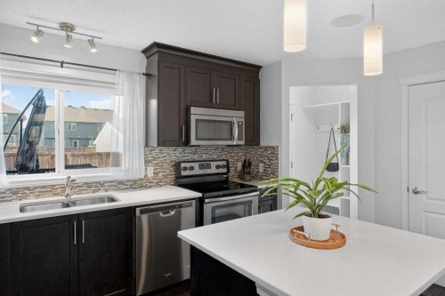 61 Auburn Meadows View Se, Calgary, AB - Indoor Photo Showing Kitchen With Stainless Steel Kitchen With Double Sink With Upgraded Kitchen