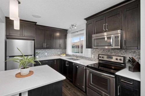 61 Auburn Meadows View Se, Calgary, AB - Indoor Photo Showing Kitchen With Stainless Steel Kitchen With Double Sink With Upgraded Kitchen