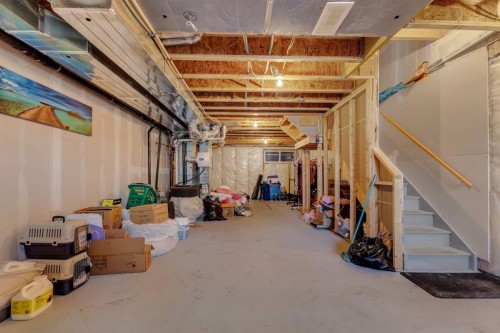 117 Howse Lane Ne, Calgary, AB - Indoor Photo Showing Basement